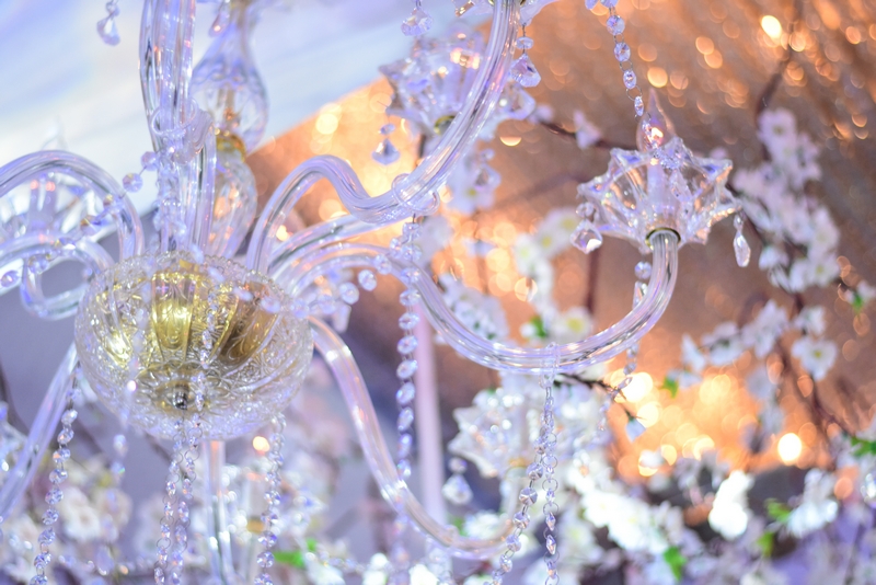 Wedding of Abbas Chamssedine and Manal Safa Part2